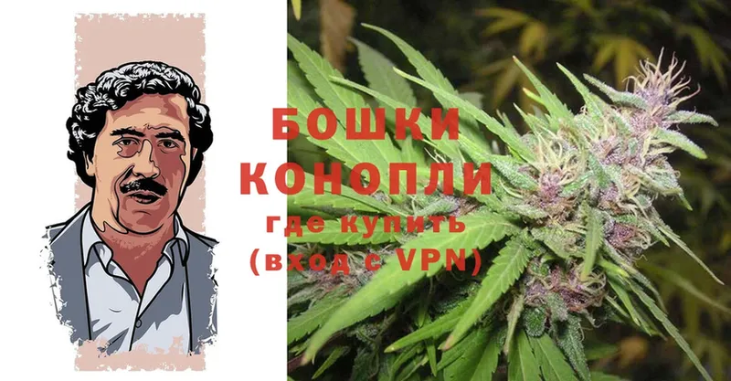 цены наркотик  Мурино  МЕГА ТОР  Бошки марихуана SATIVA & INDICA 